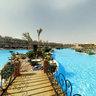 Pickalbatros hotel. Pool