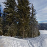Bukovel Ski Resort, slope 12A