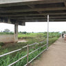 Thai-Myanmar bridge