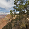 Grand Canyon South Rim