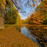 Bremen Bürgerpark Nov. 1, 2011