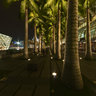 Marina Sands Palm Trees