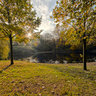 Buergerpark Oct 31, 2011