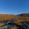 Ladys View
