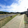 Trenes Curahue