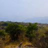 Chinnar Wildlife Santuary