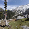 Snow Line