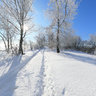 мороз и солнце день чудесный
