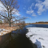 Wood lake