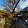 Puddle