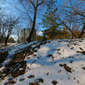 Gagarin's  park