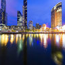 Flaming Crown at Dusk, Melbourne Australia