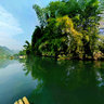 the bamboo raft on yulong river 桂林阳朔遇龙河竹排