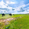Bashang Grassland-shandian lake