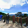 In LuLang forest on Sightseeing platform Nyingchi Tibet