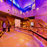 The dinosaur fossils exhibition hall in Guangdon Museum