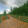 The first Asian wetland 3——horseshoe island eerguna Inner Mongolia 2011