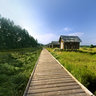 Seven-star Lake 2 in bashang Grassland Mulan Paddock chengde