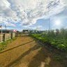Enhe Russian village in Eerguna——The Russian national home