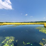 Seven-star Lake 3 in bashang Grassland Mulan Paddock chengde
