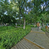 the Lotus Pond 2 in South Lake Park Changchun jilin