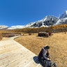 The scenery of Sichuan Daocheng Yading 7——LuoRong cattle farm