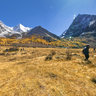 The scenery of Sichuan Daocheng Yading 8——LuoRong cattle farm