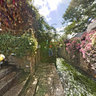 the Scenery in The North Square of Old Town of Lijiang——Flowers and stream