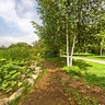 jilin changchun Jingyue Lake National Forest Park——Lotus Willow Park