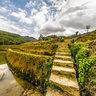 Terrace fields in Yuanyang 4——the masterpiece of the ingenuity of the Hani people yunnan