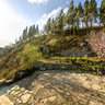yunnan luoping Jiulong waterfall group 3——China 's most beautiful  waterfalls group in landscape