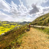 Yunnan luoping blossoming rapeseed flowers ——Rape blossoms filled Niujie snail field