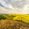Yunnan luoping blossoming rapeseed flowers ——Overlooking the rape flowers “sea”at the top of Golden Rooster Peak