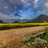 Yunnan luoping rapeseed flowers ——Watching sky Rosy clouds of full view After sunset