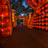 Hubei wuhan East Lake scenery 3——wuhan chengdou International lantern festival 2012