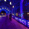 hubei wuhan East Lake scenery 5——Wuhan chengdou International lantern festival 2012