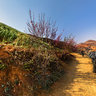 yunnan kunming Dongchuan Red Soil 1——Sunset Valley terrace