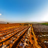 yunnan kunming Dongchuan Red Soil 6——Approached the red Soil