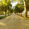 Primorsky Boulevard