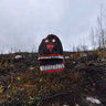 forest fire Wemotaci 001
