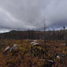 forest fires Wemotaci 003