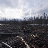 forest fire Wemotaci 004