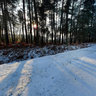Chemin forestier enneigé