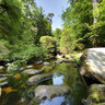 La Mare aux Fées