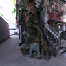 Old tree-house  Wenzhou