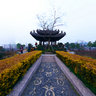 Wenzhou Sanyang Wetland Park II